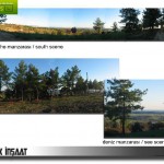 Arazi