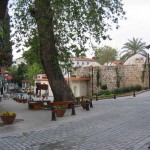 araç yolu baba